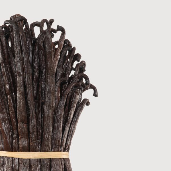 VANILLA POWDER EXTRACTO INGREDIENTES